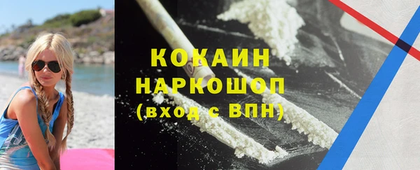 твердый Протвино