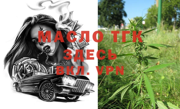 твердый Протвино