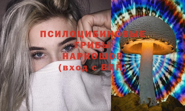 COCAINE Богородск