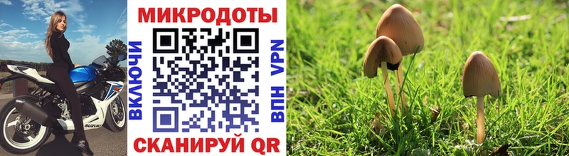 Галлюциногенные грибы GOLDEN TEACHER Моздок